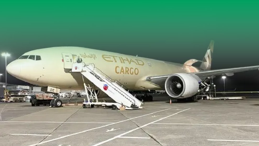 查浦曼完成75匹纯种马来中国的运输任务