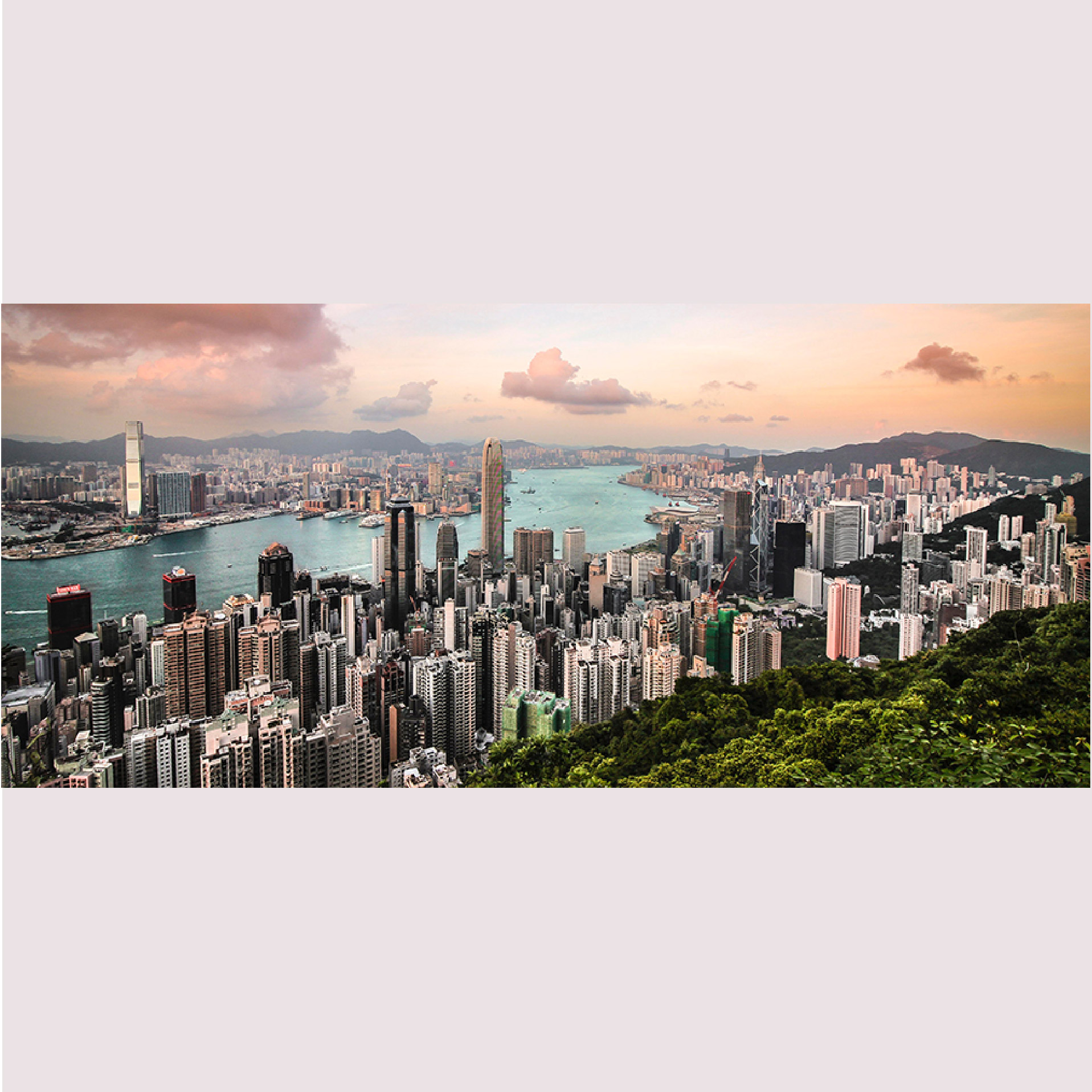 成立中国办事处