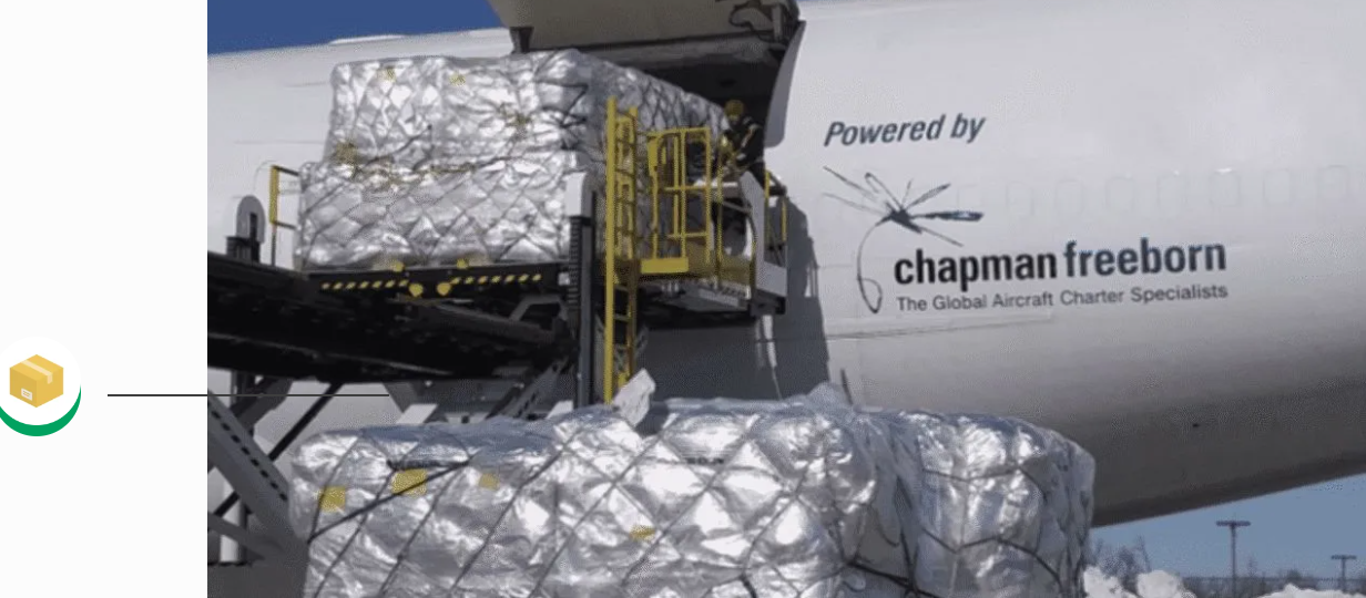 国际空运文物专家：查浦曼如何守护文化瑰宝跨洋运输