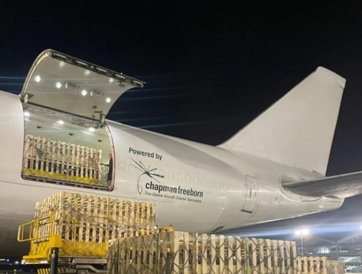 动物空运有多专业?种猪、狮子跨国运输实录