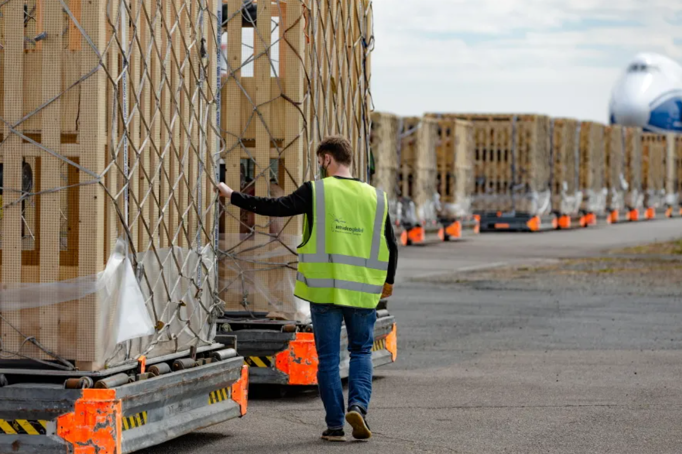 动物空运有多专业？种猪、狮子跨国运输实录
