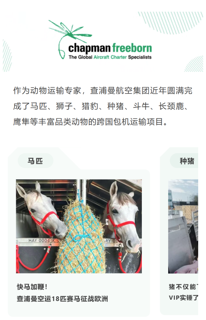 作为动物运输专家，查浦曼航空集团近年圆满完成了马匹、狮子、猎豹、种猪、斗牛、长颈鹿、鹰隼等丰富品类动物的跨国包机运输项目。
依托自研专利的运输装置与航空箱设备、丰富的全球航线运力资源、专业贴心的照护操作团队，保障每一只踏上国际旅程的动物的舒适、安全。