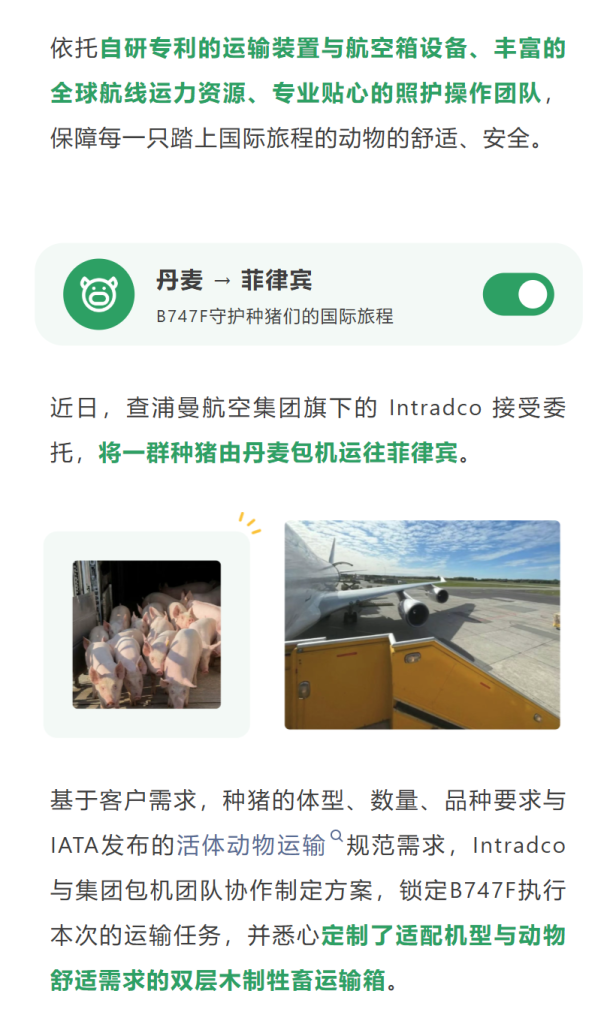近日，查浦曼航空集团旗下的 Intradco 接受委托，将一群种猪由丹麦包机运往菲律宾。
基于客户需求，种猪的体型、数量、品种要求与IATA发布的活体动物运输规范需求，Intradco 与集团包机团队协作制定方案，锁定B747F执行本次的运输任务，并悉心定制了适配机型与动物舒适需求的双层木制牲畜运输箱。
通过与检疫机构、地面操作团队等伙伴的密切协作，我们的操作团队保障了各运输环节的顺畅进行，守护了种猪在国际旅程中的舒适与安全。